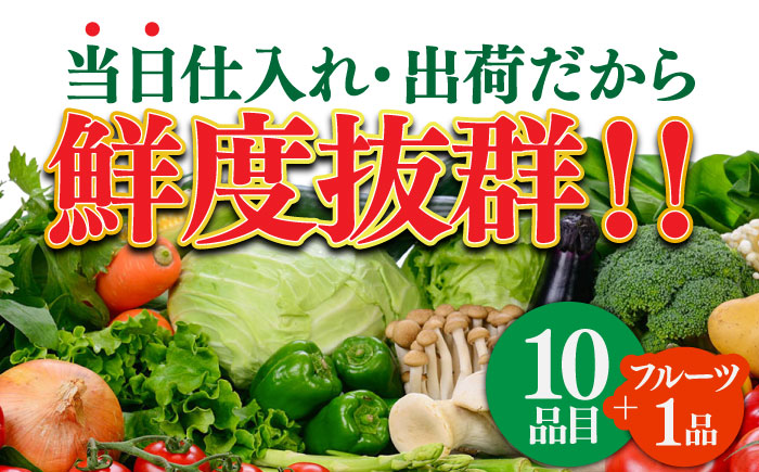 長崎皿うどんと新鮮野菜セット 8人前（麺・スープ・野菜10種・果物1種）/ 皿うどん 長崎皿うどん かた焼きそば  パリパリ 野菜 生野菜 詰め合わせ 果物 スープ付 揚げ麺 具入り / 南島原市 / 贅沢宝庫 [SDZ002]