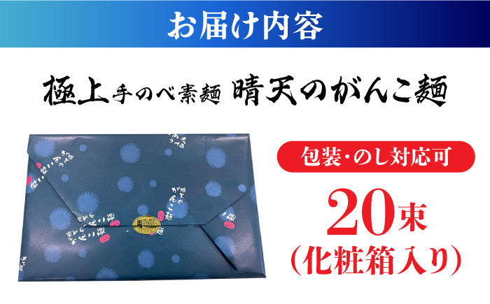 極上手のべ素麺「晴天のがんこ麺」50g×20束入 1kg / そうめん 島原そうめん 手延べ 麺 素麺 / 南島原市 / 入江商店素麺本舗 [SFX001]