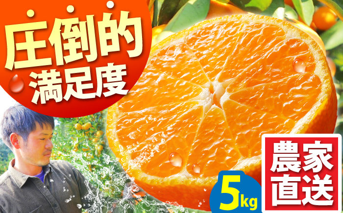 【2026年10月下旬～発送】温州みかん 5kg / みかん ミカン 蜜柑 フルーツ 果物 / 南島原市 / 蜜柑屋まつお [SCQ001]