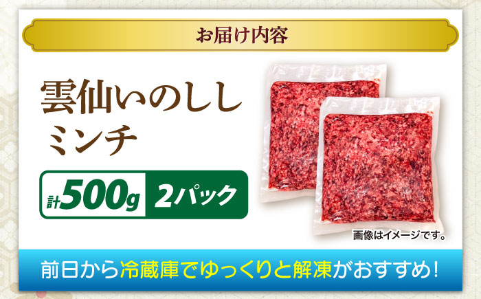猪肉 ミンチ 500g×2パック 雲仙いのしし / ひき肉 肉 イノシシ ジビエ いのしし ハンバーグ / 南島原市 / もりのめぐみ [SDB012]