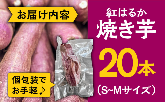 【2025年1月下旬〜発送】【数量限定】【ねっとり甘い熟成サツマイモ】冷凍焼き芋（紅はるか） 20本(S〜M) / さつまいも やき芋 冷凍 小分け 個包装 / 南島原市 / 池田海陸物産 [SEW001]