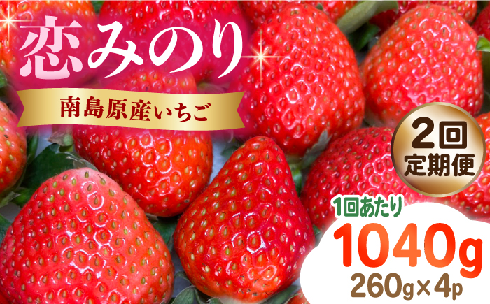 2024年4月〜発送】【2回定期便】南島原産 いちご 「恋みのり」約260g