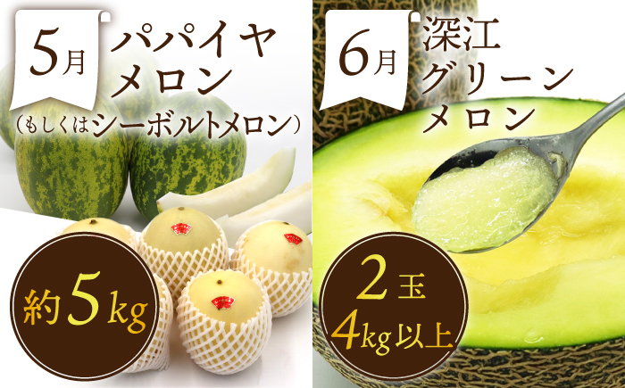 【12回定期便】フルーツ定期便 果物屋が選ぶ旬のフルーツ いちご メロン びわ みかん 梨 柿 ぶどう など / 果物定期便 フルーツ 定期便 果物 春フルーツ 夏フルーツ 秋フルーツ 冬フルーツ / 南島原市 / 贅沢宝庫 [SDZ023]