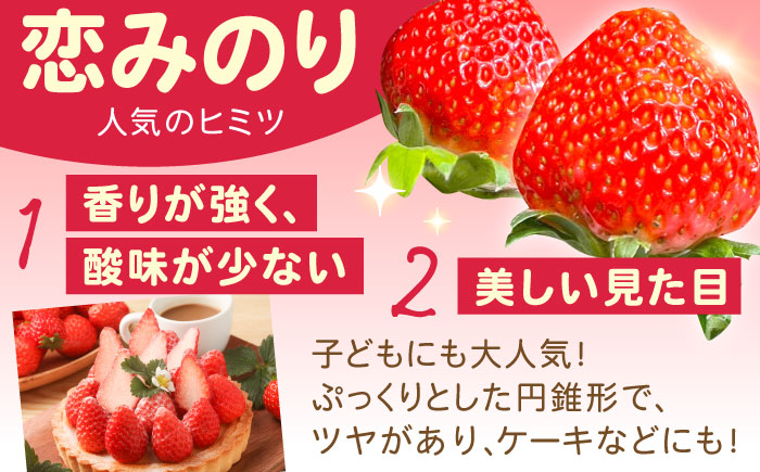 【2027年1月 初回発送】【5回定期便】南島原産 いちご 「恋みのり」約250g×4P /  いちご イチゴ 苺 フルーツ 果物 / 南島原市 / あゆみfarm [SFF004]