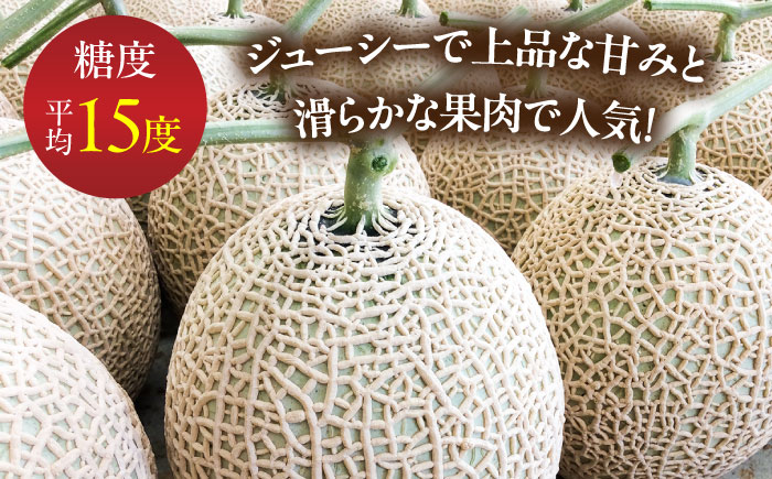 【2026年7月下旬〜発送】アールスメロン 2玉 約3.2kg / メロン めろん 果物 フルーツ / 南島原市 / うえだメロン園 [SAD011]