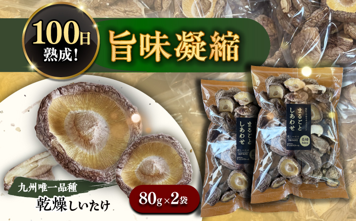 乾燥しいたけ 80g 2袋 計160g  / きのこ キノコ 茸 シイタケ  / 南島原市 / サンエスファーム [SBX004]
