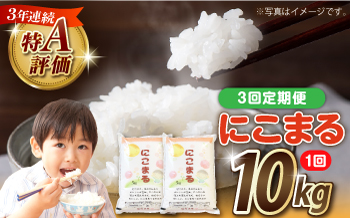 【3回定期便】長崎県産 精米 にこまる 10kg（5kg×2袋）総計30kg / 米 お米 こめ コメ 精米 / 南島原市 / 大松屋商店 [SDR014]