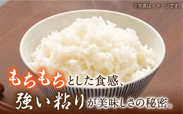 【3回定期便】 長崎県産 精米 にこまる 2kg 総計 6kg  / ふっくら 笑顔 お米 米 / 南島原市 / 大松屋商店 [SDR010]