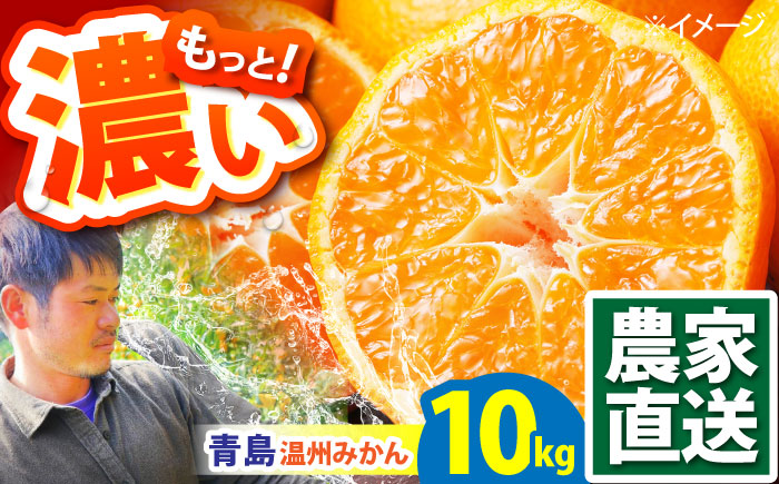 【2026年1月〜発送】青島 温州みかん 10kg / みかん ミカン 蜜柑 甘い フルーツ 果物 / 南島原市 / 蜜柑屋まつお [SCQ003]
