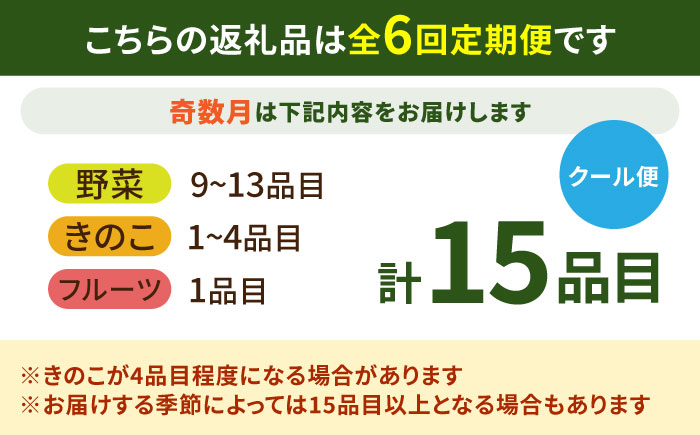 【6回定期便】【奇数月コース】豪華！野菜 セット 15品目以上 / 定期便 野菜 やさい 春野菜 夏野菜 秋野菜 冬野菜 旬 / 南島原市 / 吉岡青果 [SCZ002]