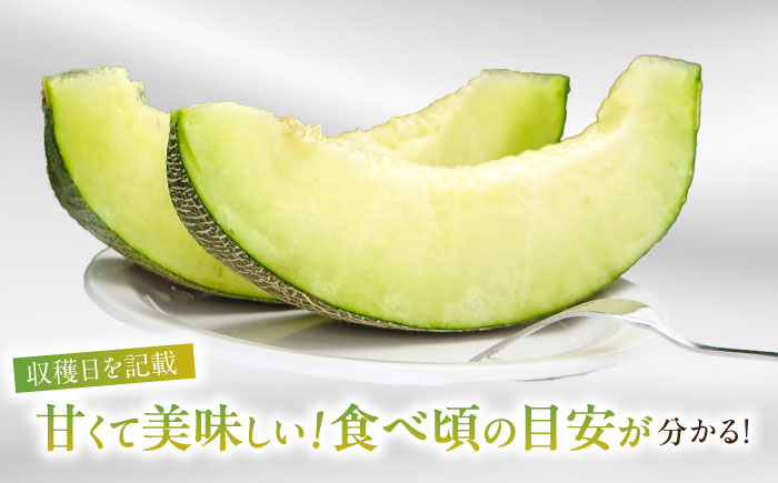 【2026年7月初旬〜発送】グリーンメロン 2玉 約4kg / メロン めろん 果物 フルーツ / 南島原市 / うえだメロン園 [SAD010]