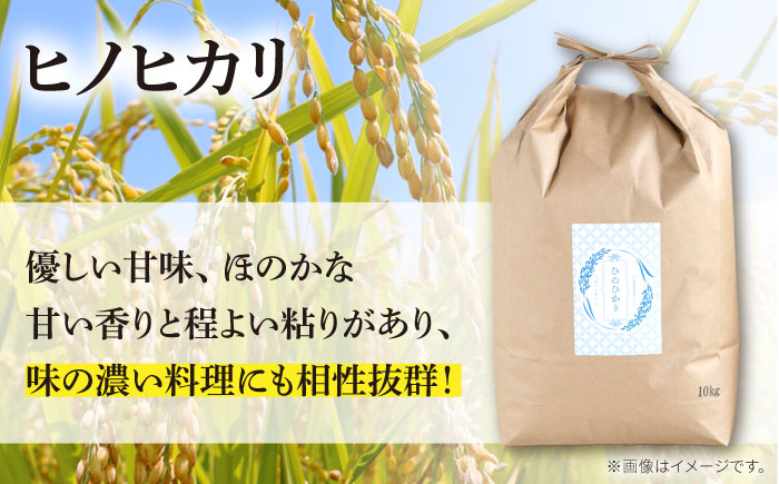 米【2か月毎定期便】10kg×6回 定期便 / ひのひかり 米 お米 こめ コメ 精米 精米 白米 お米 ライス ごはん 米 こめ ご飯 国産 お取り寄せ  / 南島原市 / 林田米穀店 [SCO005]