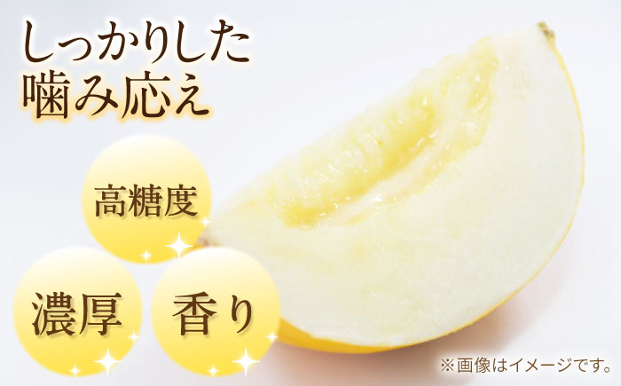 【2026年5月〜発送】メロン イエローキング 1箱 5kg以内（3〜6玉） / メロン めろん フルーツ 果物 / 南島原市 / 南島原果物屋 [SCV039]