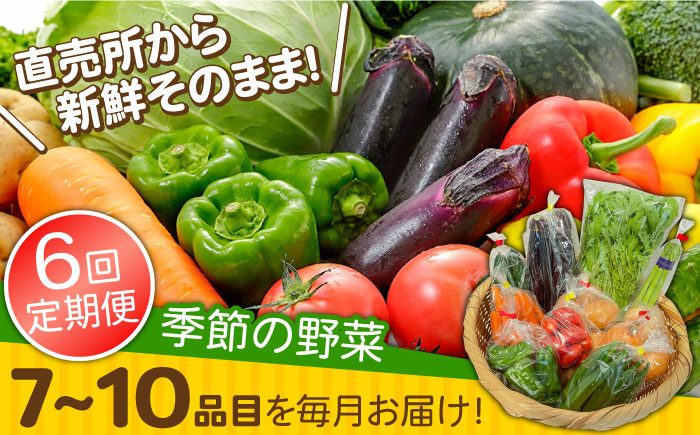 【6回定期便】直売所より発送！季節の野菜セット 7〜10品目 / 野菜定期便 やさい定期便 野菜 やさい 旬 詰め合わせ / 南島原市 / ながさき南部生産組合 [SBW004]