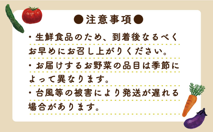 【6回定期便】地元農家さんが収穫した旬のお野菜 10種詰め合わせ / 野菜 旬 新鮮 採れたて 季節野菜 旬野菜 農家直送 野菜定期便 定期便 / 南島原市 / ミナサポ  [SCW046]