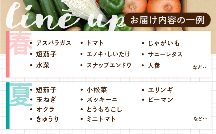 【毎月コース】野菜 キノコ 果物 11品目 詰め合わせ 7回 定期便  / 南島原市 / 吉岡青果 [SCZ033]