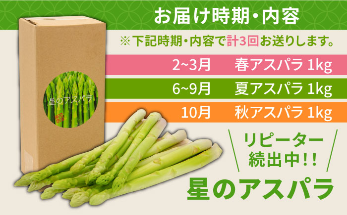 【3回定期便】【星のアスパラ】春・夏・秋 の グリーン アスパラガス 約1kg / アスパラ 野菜 / 南島原市 / ほしのYA [SEY013]