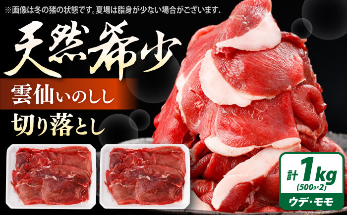 猪肉 切り落とし 1kg 雲仙いのしし モモ ウデ / 肉 イノシシ ジビエ いのしし 焼肉 ぼたん鍋 切り落とし / 南島原市 / もりのめぐみ [SDB015]