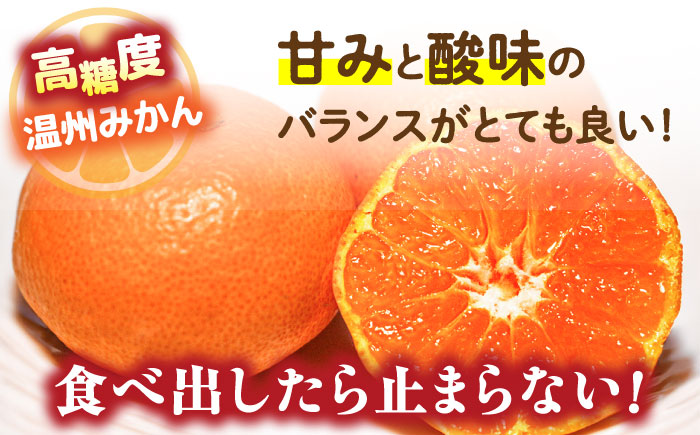 【2024年12月〜発送】【2回定期便】高糖度温州みかん約10kg （計約20kg）/ みかん 定期便 ミカン 蜜柑 長崎県産みかん 糖度 果物 くだもの 果物定期便 フルーツ ふるーつ フルーツ定期便 旬 家庭用 10kg / 南島原市 / 南島原果物屋 [SCV002]