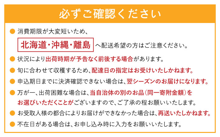 訳あり タカミメロン レッド 2箱 / メロン めろん フルーツ 果物 / 南島原市 / 南島原果物屋 [SCV037]