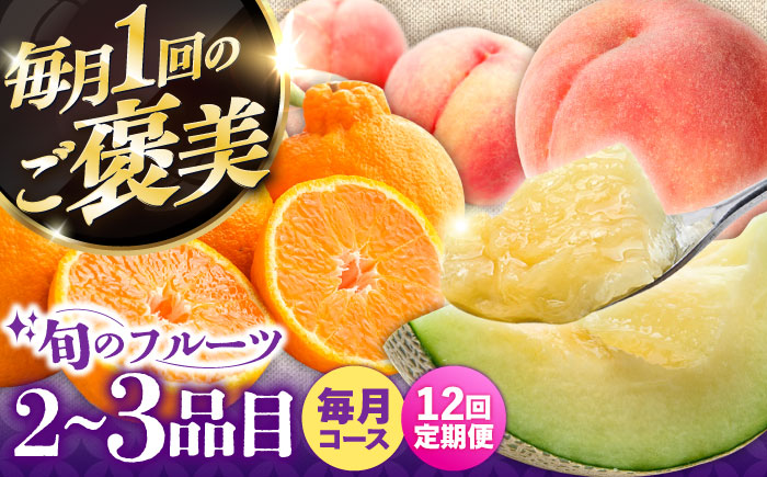 【12回定期便】＜2026年1月〜初回発送＞フルーツ定期便 旬の果物をお任せで2〜3品目お届け（2〜3品目×12回）季節の果物 詰め合わせ 果物 セット / 定期便 フルーツ 果物 春フルーツ 夏フルーツ 秋フルーツ 冬フルーツ /  南島原市 / 吉岡青果 [SCZ014]