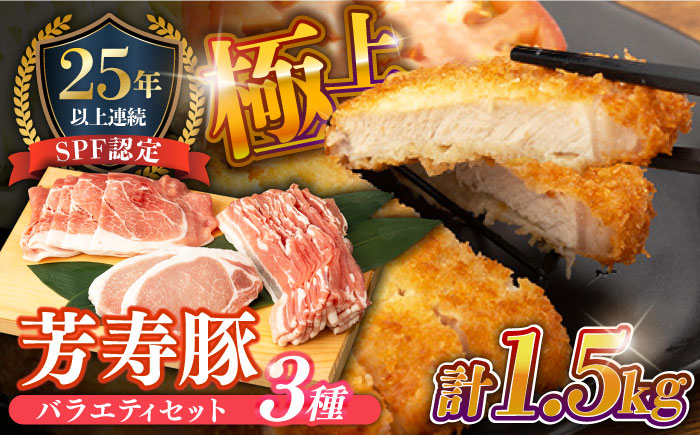 SPF豚 やっちゃおいしか芳寿豚 バラエティセット 計1500g / 豚肉 ほうじゅとん SPF豚 spfポーク 小分け バラ しゃぶしゃぶ / 南島原市 / 芳寿牧場 [SEI004]