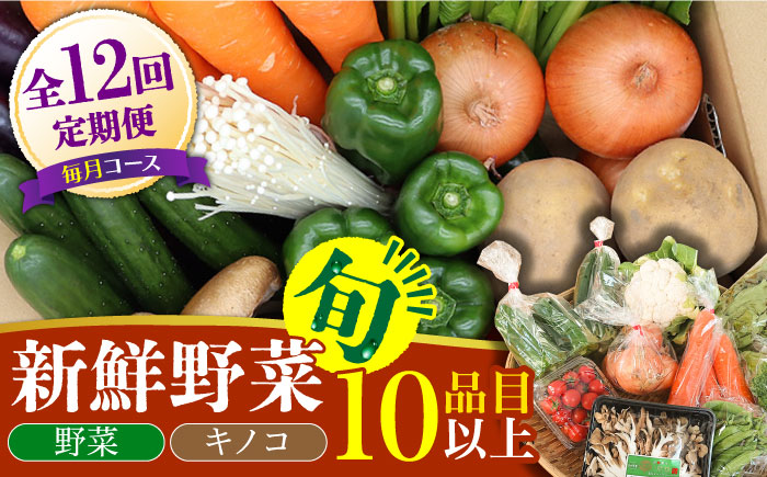 【毎月12回定期便】野菜・きのこをセット 10品目以上 / 野菜 やさい きのこ キノコ 詰め合わせ セット 定期便 野菜定期便 きのこ定期便 / 南島原市 / 吉岡青果 [SCZ007]