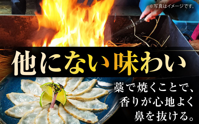 【新鮮！贅沢おつまみ】トラフグのたたき（小皿/40g）×10枚 / ポン酢 もみじおろし セット 冷凍 ふぐ 河豚 藁焼き / 南島原市 / 株式会社 FUKUNOTANE [SFJ033]