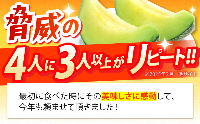 【2026年6月中旬～発送】肥後 グリーンメロン 大玉 2玉 (合計4kg以上) / メロン めろん フルーツ 果物 / 南島原市 / 長崎県農産品流通合同会社 [SCB063]