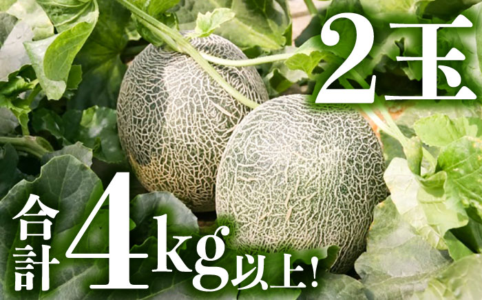 【2026年6月中旬～発送】肥後 グリーンメロン 大玉 2玉 (合計4kg以上) / メロン めろん フルーツ 果物 / 南島原市 / 長崎県農産品流通合同会社 [SCB063]