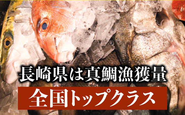 【着日指定可】【旨かタイ南島原！】鯛しゃぶ 8人前 / 鯛 真鯛 しゃぶしゃぶ 鍋 / 南島原市 / 大和 [SCJ024]