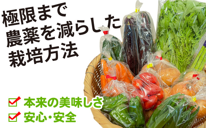 【12回定期便】直売所より発送！お米と季節の野菜セット 8品目 / 米 こめ 白米 野菜定期便 やさい定期便 野菜 やさい 旬 詰め合わせ / 南島原市 / ながさき南部生産組合 [SBW015]