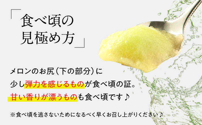 【2025年5月～発送】【さわやかな味!】訳あり タカミメロン 1玉 約1kg（傷もの）/ メロン めろん フルーツ 果物 / 南島原市 / 南島原果物屋 [SCV028]