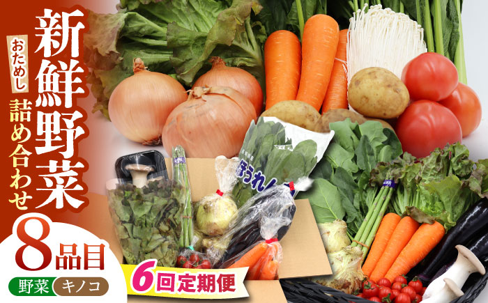 【6回定期便】お試し野菜セット 8品目 詰め合わせ / 野菜 やさい ヤサイ 旬 新鮮 / 南島原市 / 吉岡青果 [SCZ029]
