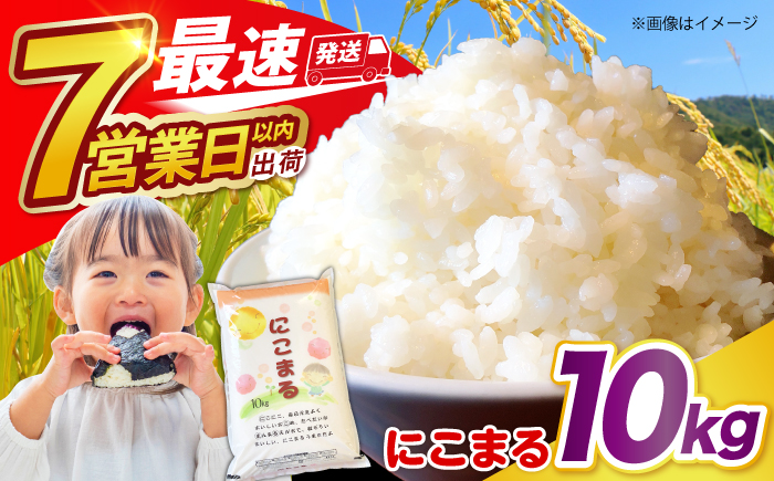 【3年連続特A獲得】長崎県産 精米 にこまる10kg / 米 こめ 白米 ごはん せいまい / 南島原市 / 大松屋商店 [SDR005]