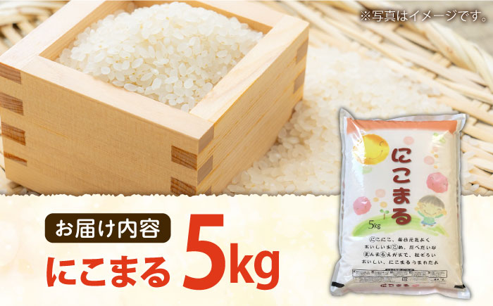 長崎県産 精米 にこまる 5kg / 南島原市 / 大松屋商店 [SDR001]