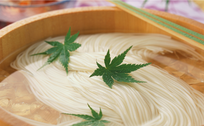 野村屋の 手延 めん 詰め合せ  計850g / そうめん ひやむぎ うどん そば  南島原市 / 野村屋 [SCS008]