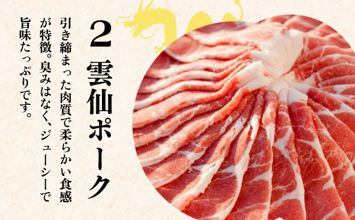 【長崎本場の味】スープ付 ちゃんぽん ・ 皿うどん  計20食 (各10食) / ちゃんぽん チャンポン 長崎 スープ 乾麺 皿うどん スープ 麺 / 南島原市 / こじま製麺 [SAZ007]