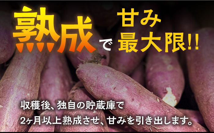 【2025年1月下旬〜発送】【数量限定】【ねっとり甘い熟成サツマイモ】冷凍焼き芋（紅はるか） 10本(S〜M) / さつまいも やき芋 冷凍 小分け 個包装 / 南島原市 / 池田海陸物産 [SEW002]