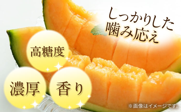 【2026年5月〜発送】タカミメロン レッド 2箱（1箱 3〜6玉） / メロン めろん フルーツ 果物 / 南島原市 / 南島原果物屋 [SCV032]