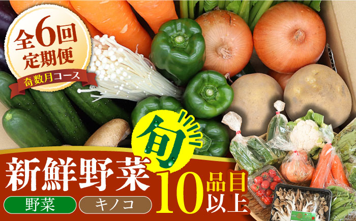 【奇数月6回定期便】野菜・きのこをセット 10品目以上 / 野菜 やさい きのこ キノコ 詰め合わせ セット 定期便 野菜定期便 きのこ定期便 / 南島原市 / 吉岡青果 [SCZ005]