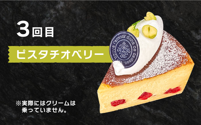 【3回定期便】 よしだのバスクチーズ 食べ比べ / ケーキ タルトケーキ スイーツ デザート 洋菓子 スペイン菓子職人が作る / 南島原市 / 吉田菓子店 [SCT034]