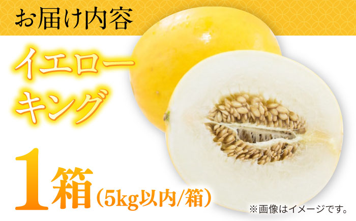 【2026年5月〜発送】メロン イエローキング 1箱 5kg以内（3〜6玉） / メロン めろん フルーツ 果物 / 南島原市 / 南島原果物屋 [SCV039]