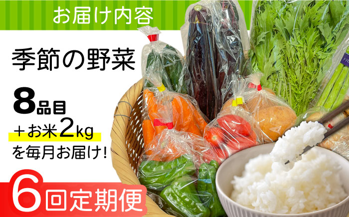 【6回定期便】直売所より発送！お米と季節の野菜セット 8品目 / 米 こめ 白米 野菜定期便 やさい定期便 野菜 やさい 旬 詰め合わせ / 南島原市 / ながさき南部生産組合 [SBW014]