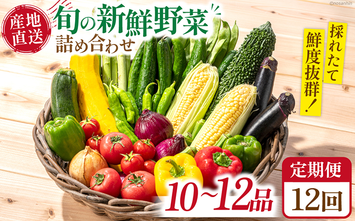 【12回定期便】毎月連続お届け 新鮮 「旬の野菜・フルーツ」 詰め合わせ セット（10品〜12品）/ 野菜 定期便 やさい 定期便 野菜セット やさいセット 春野菜 夏野菜 秋野菜 冬野菜 旬新鮮 / 南島原市 /長崎県農産品流通合同会社 [SCB097]