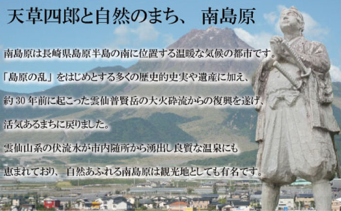 【12回定期便】九州産 焼き鳥セット 鶏せせり 30本 / やきとり ヤキトリ 焼鳥 串セット 国産 冷凍 小分け / 南島原市 / ふるさと企画 [SBA089]