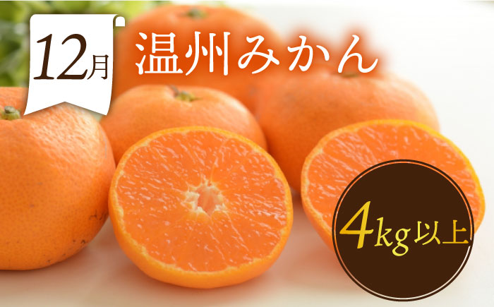 フルーツ定期便【6回定期便 偶数月コース】旬のフルーツをセット / ハウスびわ メロン ぶどう 巨峰 みかん など / 定期便 旬 フルーツ 果物 春フルーツ 夏フルーツ 秋フルーツ 冬フルーツ 果物定期便 フルーツ定期便 果物定期 フルーツ定期 人気 人気果物 人気フルーツ / 南島原市 / 贅沢宝庫 [SDZ022]