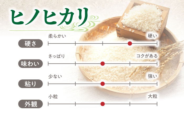 【特別栽培米】 ヒノヒカリ 15kg (5kg×3袋) / 米 精米 白米 ごはん ご飯 ひのひかり / 南島原市 / 農家民宿　いちご一会 [SBN003]