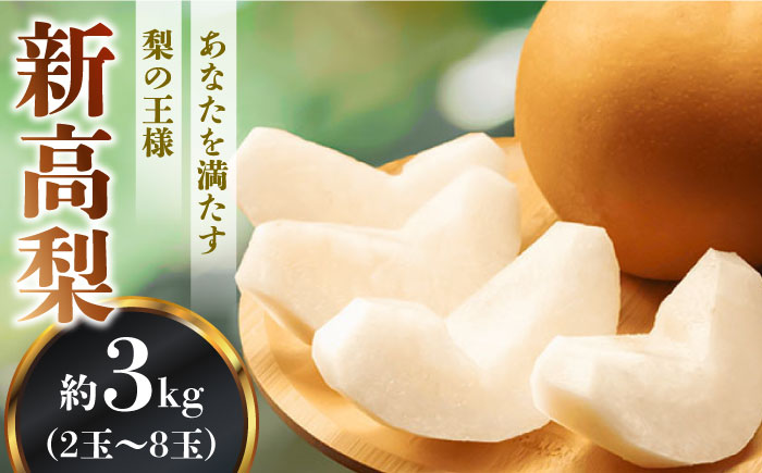 【2026年10月〜発送】【あなたを満たす梨の王様】新高梨 約3kg 特大級 梨専門 八木農園 / 梨 なし ナシ / 南島原市 / 贅沢宝庫 [SDZ031]
