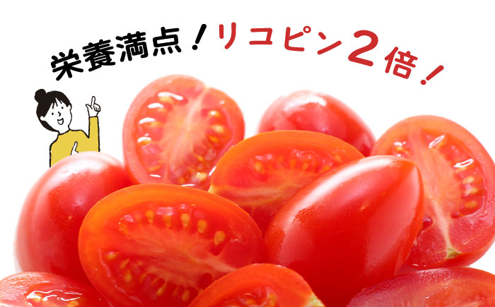 【完熟 ミニトマト】アイコトマト 約 1kg [SCB039]